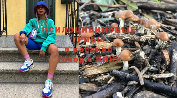 стафф Новодвинск