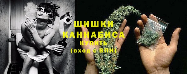 стафф Новодвинск