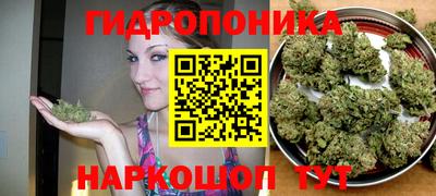 mdpv Кандалакша