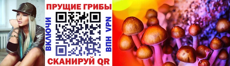 Галлюциногенные грибы мухоморы  Киржач 