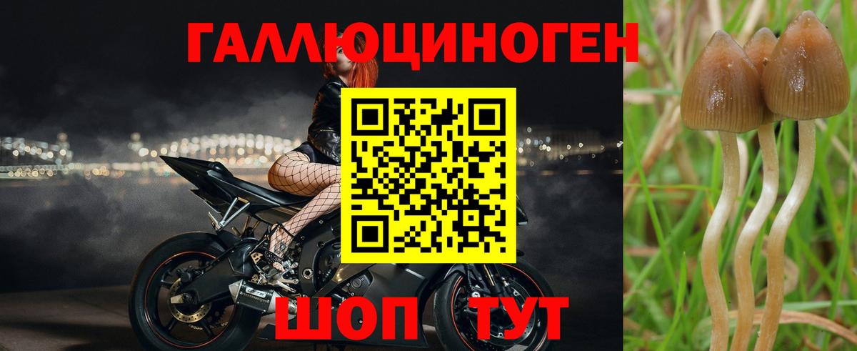 Псилоцибиновые грибы Cubensis  Вход с VPN  Псилоцибиновые грибы Psilocybe  Киржач 