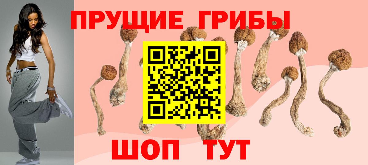Галлюциногенные грибы Psilocybe Киржач